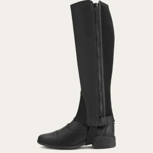 Cheap Scout Chap Damen Reiten | Reiten