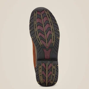 Clearance Telluride II H2O Waterproof Boot Herren Wasserdichte Schuhe | Reiten